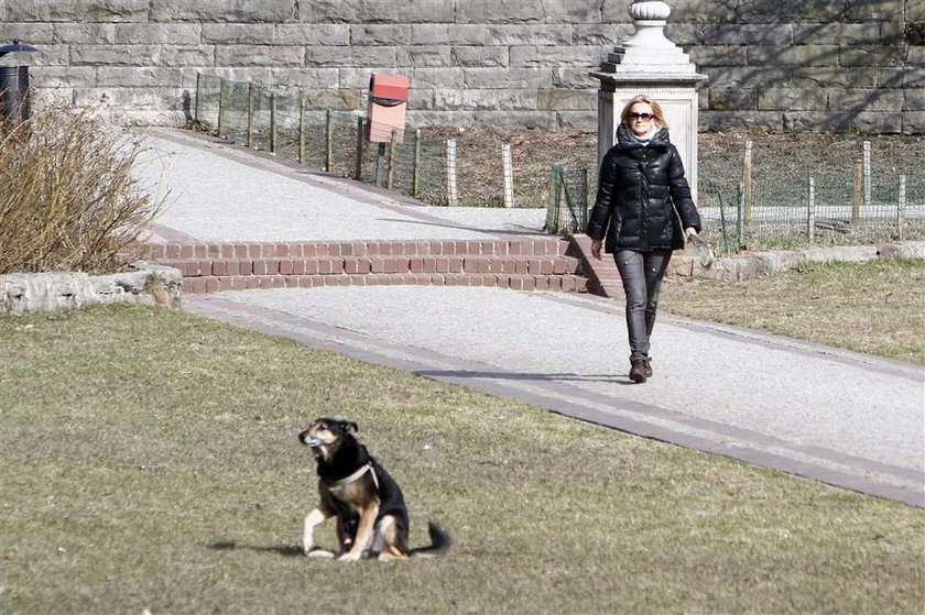 Torbicka sprząta po psie. Foto