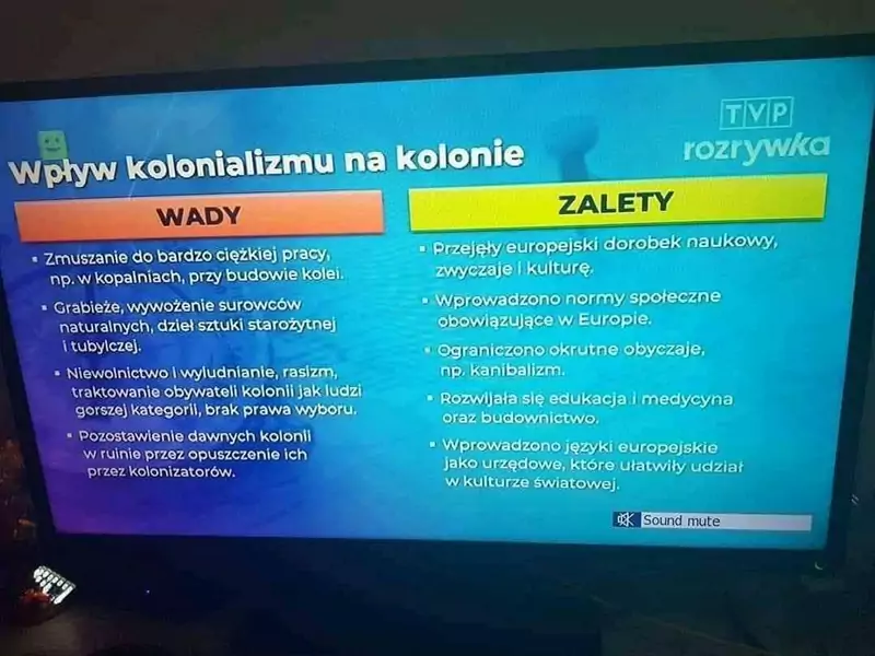 Fragment programu edukacyjnego dla uczniów emitowanego przez TVP Rozrywka
