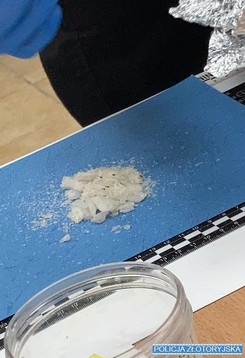 Przyniósł narkotyki na policję. Chciał, by sprawdzono ich jakość