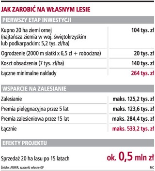 2,3 mld zł dotacji z Unii Europejskiej na sadzenie lasów
