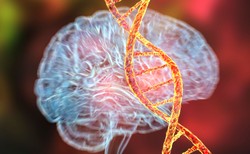 Geny związane z uczeniem się pojawiły się 650 mln lat temu!