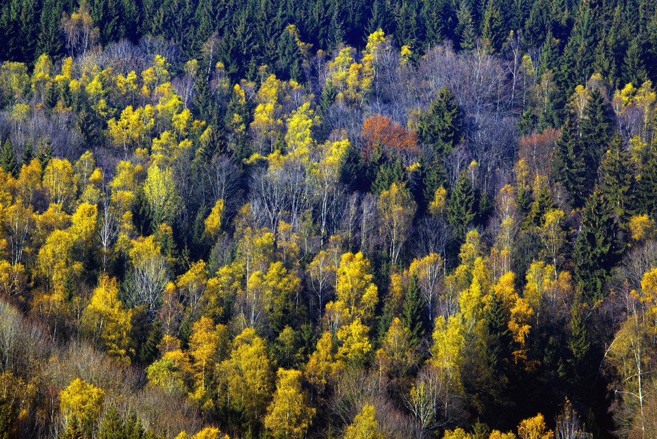 Góry Bystrzyckie 