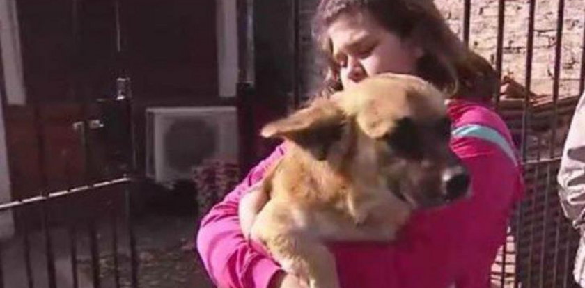 Pies uratował noworodka. Porzucili go ludzie bez serca