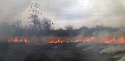 Bracia próbowali gasić pożar. Doszło do tragedii