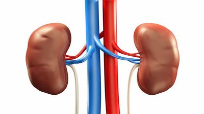 kidney disease