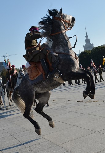 Święto Kawalerii Polskiej w Warszawie