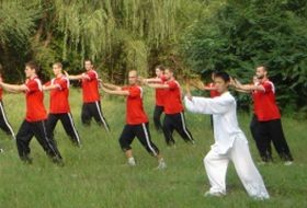 tai-chi-torna-d00000FA484dd694972fa