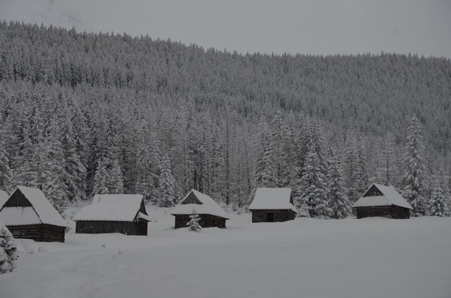 Polana Kopieniec. 