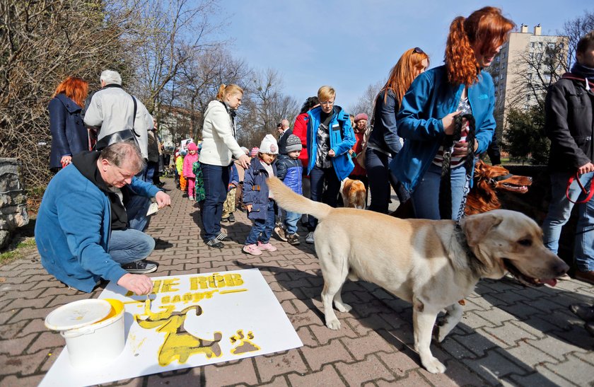 Chorzów przypomina, że trzeba popsprzątać po pupilu