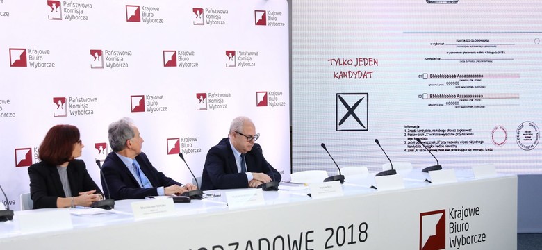Druga tura wyborów samorządowych. Ile wyniosła frekwencja do godz. 17? Gdzie najwięcej osób poszło do urn?