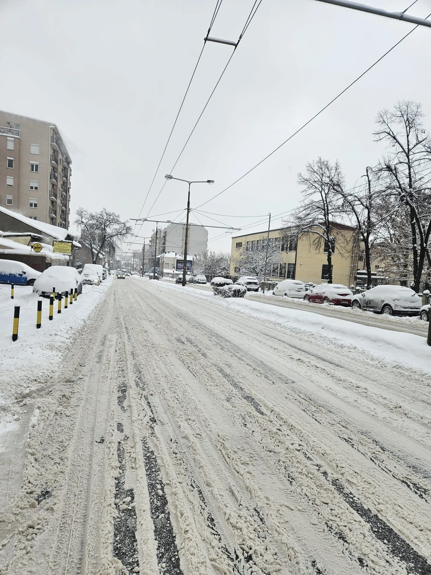 Димитриј Туцовиќ