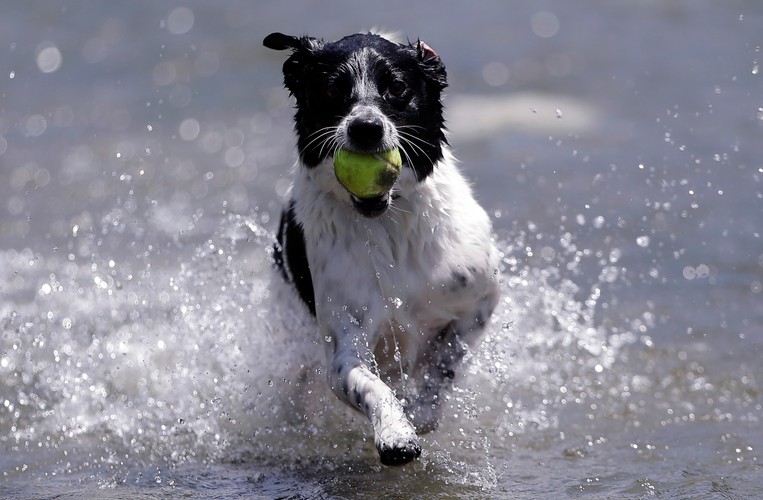 New Braunfels, Texas, USA