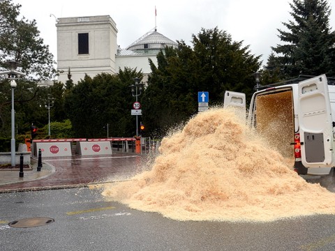 Greenpeace: trociny przed Sejmem na znak sprzeciwu wobec ...