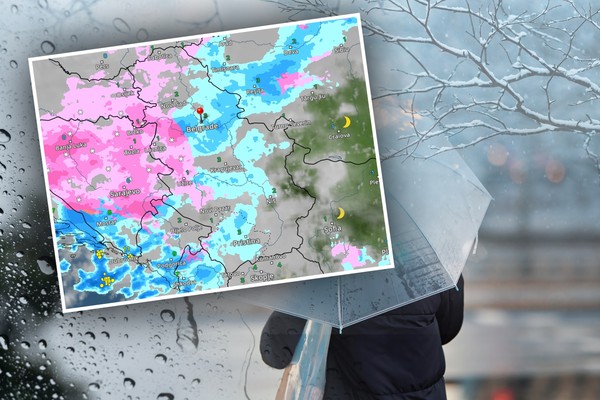 496359_macji-parazit-dortmund-univerzitet