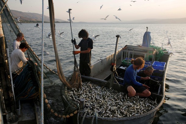 The Wider Image: The Sea of Galilee: receding waters of biblical lake