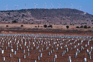 Cała prawda o energii odnawialnej: kosztuje więcej, niż przynosi korzyści