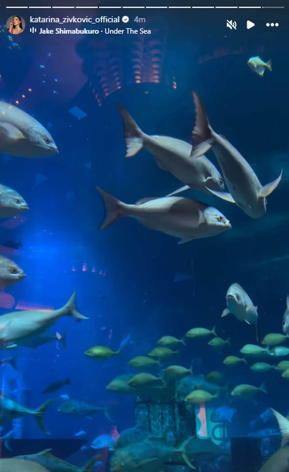 Katarina Živković sa sinom