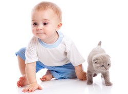 Niech ma psa lub kota. Nie będzie chorować