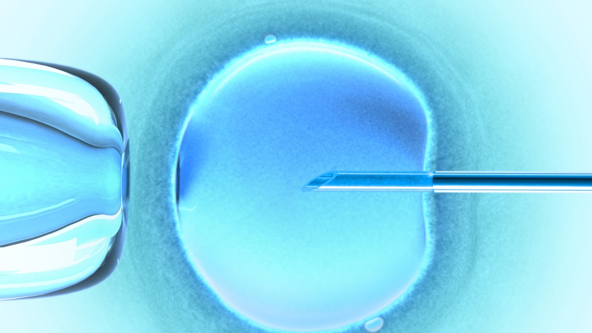 Dziś projektem ustawy o in vitro ponownie ponownie ma się zająć Komitet Stały Rady Ministrów - dowiedziała się PAP w KPRM. Do rozstrzygnięcia pozostaje m.in. kwestia, czy z tej procedury będą mogły korzystać wyłącznie pary małżeńskie, czy także nieformalne związki.