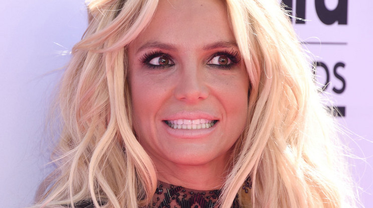 Britney volt férje többet akar együtt lenni a gyerekeivel /Fotó:Northfoto