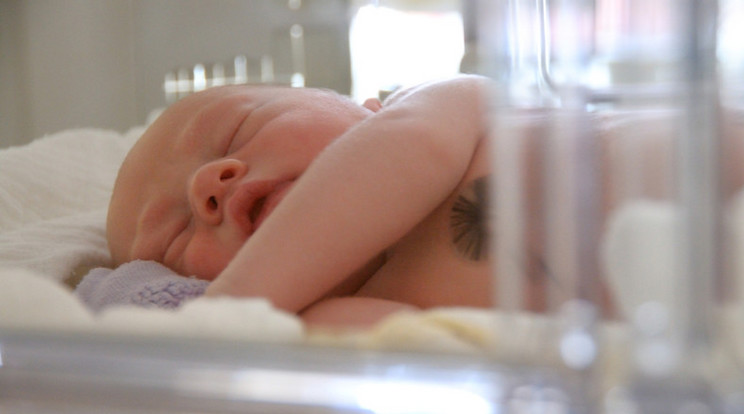 Az eset a kórház újszülött-intenzív osztályán történt / Fotó: Northfoto