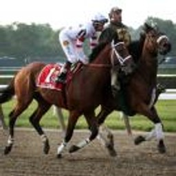 Totalizator Sportowy nadal będzie organizował wyścigi konne na stołecznym Służewcu