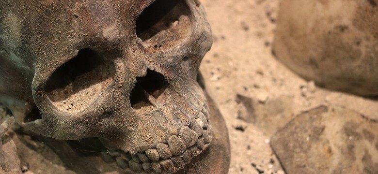 Makabryczne znalezisko w Chinach. Archeolodzy określili to mianem "polowanie na głowy"