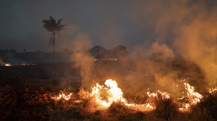 Több száz új helyen észleltek tüzeket a lángoló Amazóniában / Fotó: MTI/AP/Leo Correa