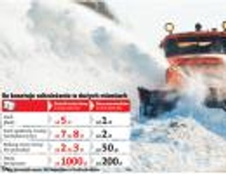 Jak zarabiać na padającym śniegu