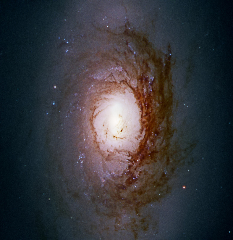 C40 - NGC 3626