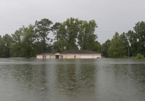 Teksas tropska oluja