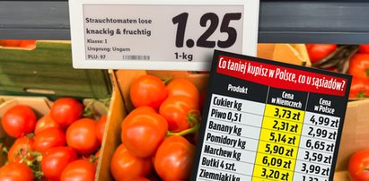 Więcej płaci Niemiec czy Polak? Te same produkty z Lidla i zaskoczenie [TEST FAKTU]