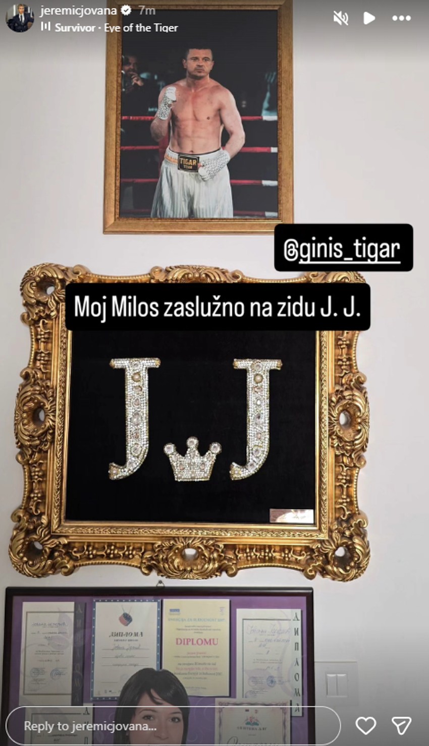 Jovana uramila Tigrovu sliku u stanu