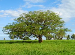 Już wiadomo, kto zapłaci za walkę z globalnym ociepleniem