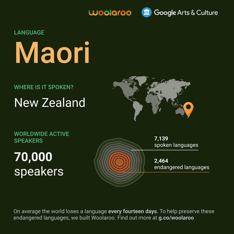 Woolaroo - nowe narzędzie do ochrony wymierających języków. Infografika o języku maoryskim
