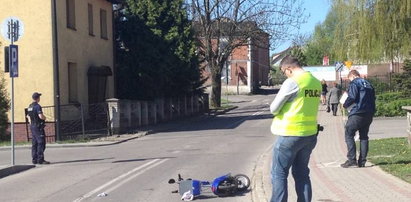 Pies zaatakował staruszka na hulajnodze. 82-latek walczy o życie