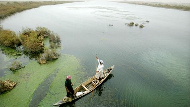 Jak Saddam Husajn zniszczył mokradła Tygrysu i Eufratu. I jak iracki cud wrócił do życia