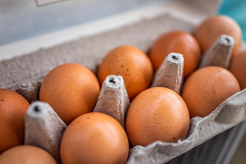 Ennyi tojást ehetsz meg egy nap anélkül, hogy baj legyen  fotó: Getty Images