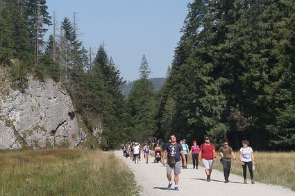 Co z obostrzeniami w wakacje? Rzecznik rządu zabrał głos