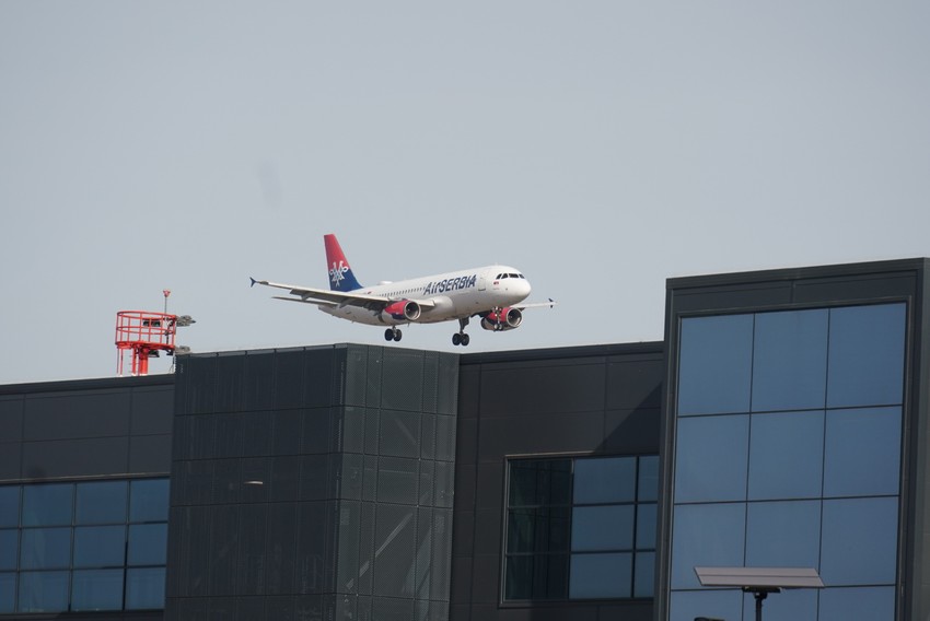 U slučaju Beograda problem mogu da naprave vrane, galebovi, golubovi, grabljivice poput orla mišara, vetruške, eje, fazani, ali i vrste kao što su rode, čaplje, divlje patke i labudovi.