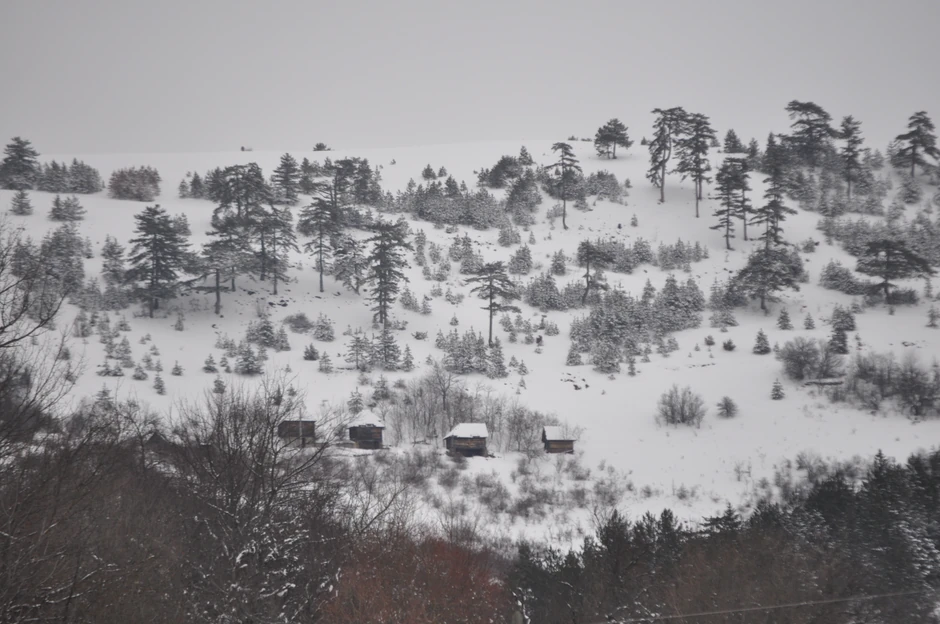 Dobroselica je jedno od većih zlatiborskih sela