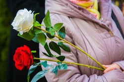 Hymn Polski. Tekst "Mazurka Dąbrowskiego": Aktualna wersja i dwie zapomniane zwrotki