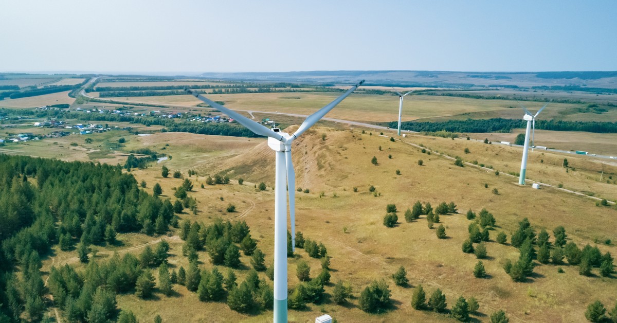 Ptaki czy wiatraki? Branża ma nowe niepokoje