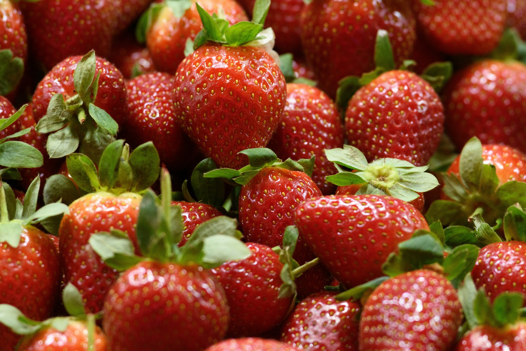 Stačí si vybrať správnu farbu a vaše trávenie sa vám poďakuje.