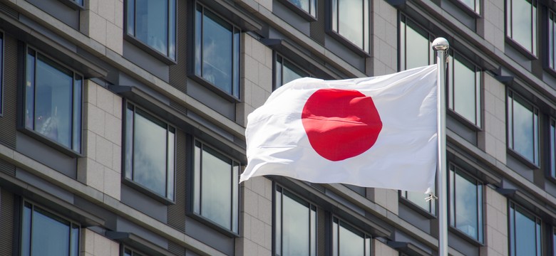 UFO, a może jajo Godzilli? Niecodzienne znalezisko na plaży w Japonii