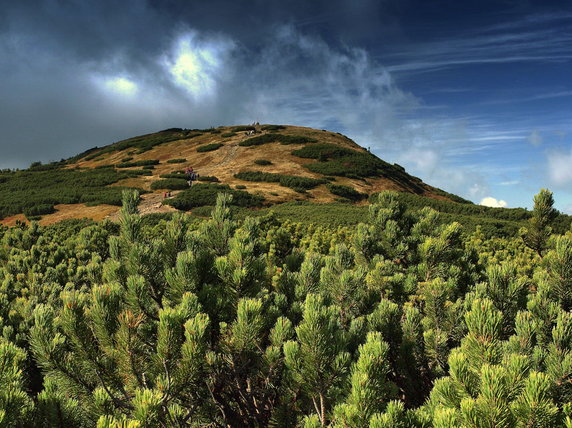 Babia Góra, Beskidy Zachodnie