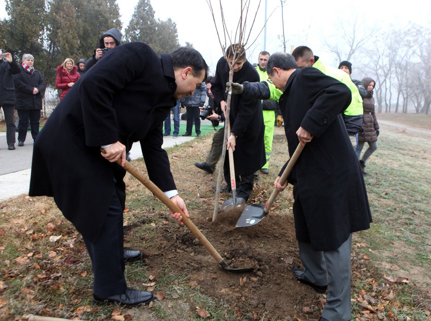 Kristijan Kring, Željko Ožegović i Tošio Cunozaki posadili su prvo stablo