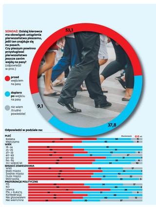 Kiedy pierwszeństwo dla pieszych? Połowa ankietowanych popiera pomysł rządu [SONDAŻ DGP]