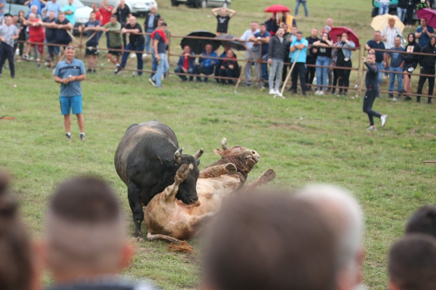 Tresla se Manjača od borbe Kukana i Hajduka
