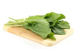 Poseł Niesiołowski miał rację. Warto jeść szczaw